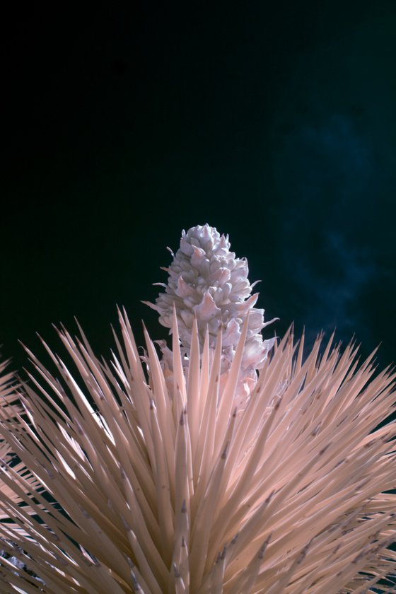 Nothing Here is Meant to Last