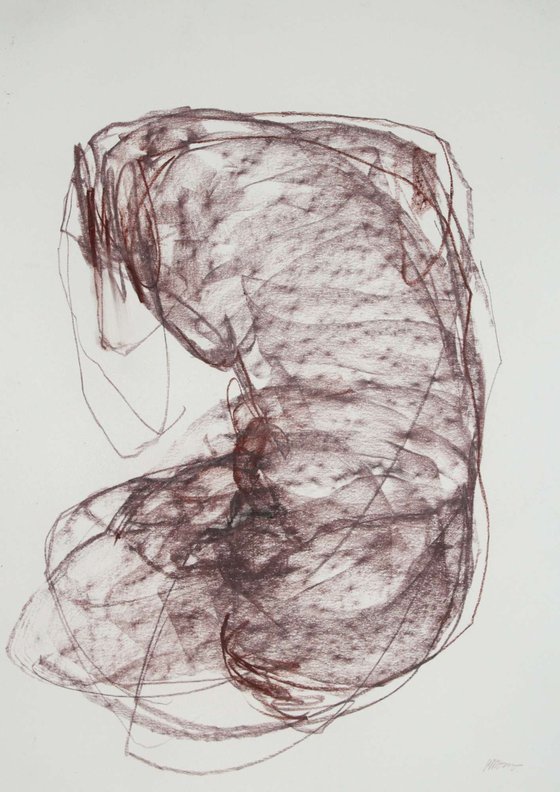 Torso 5