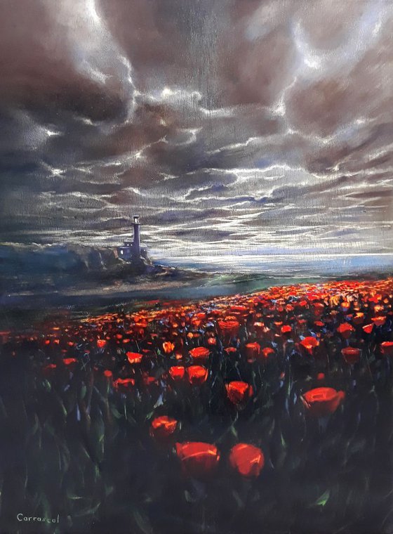 LIGHTHOUSE OF THE POPPIES