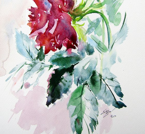 Rose