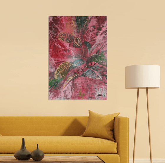 Croton