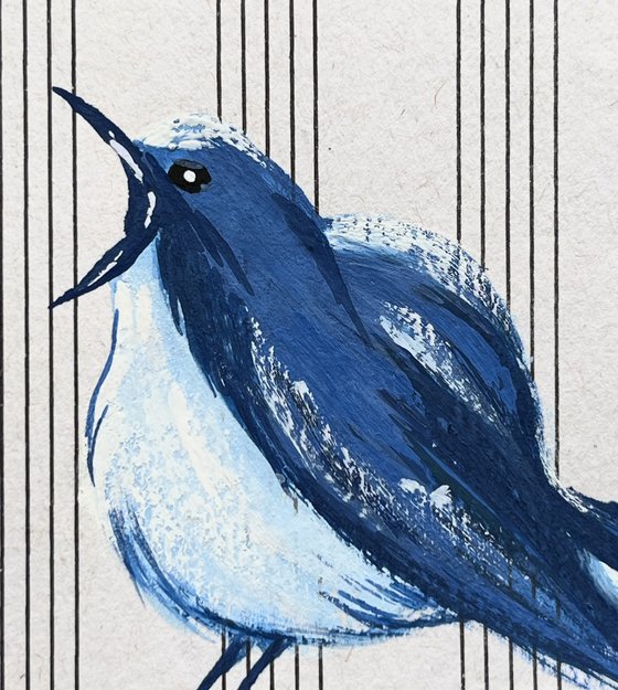 Robin ACEO