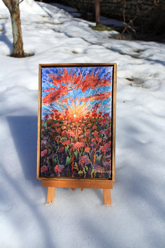 Sunset in the Buckwheat field