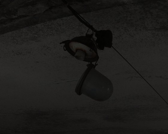 #48. Pripyat. Dog mummy