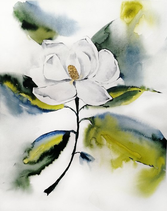 Magnolia painting. Blossoms painting