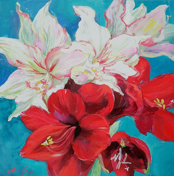 "Amaryllis"