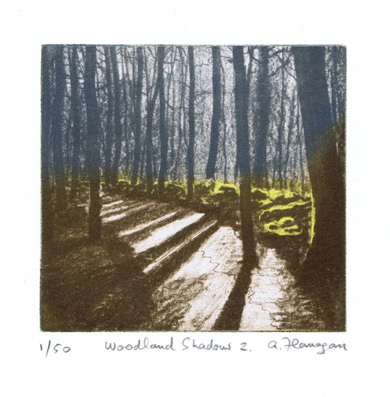 Woodland Shadow 2