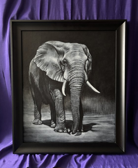 Elephant Night Walker