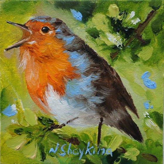 Spring Robin Bird