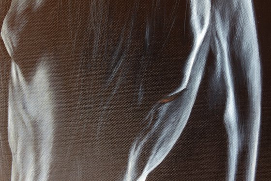 Friesian horse