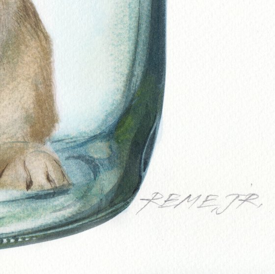 Rabbit in Jar