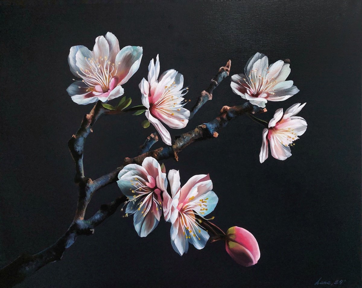 Cherry blossoms on a black background by Svitlana Brazhnikova