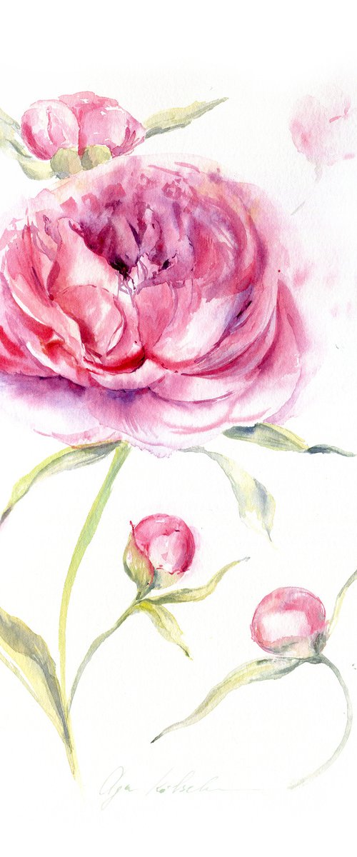 Pink Peony Fantasy by Olga Koelsch