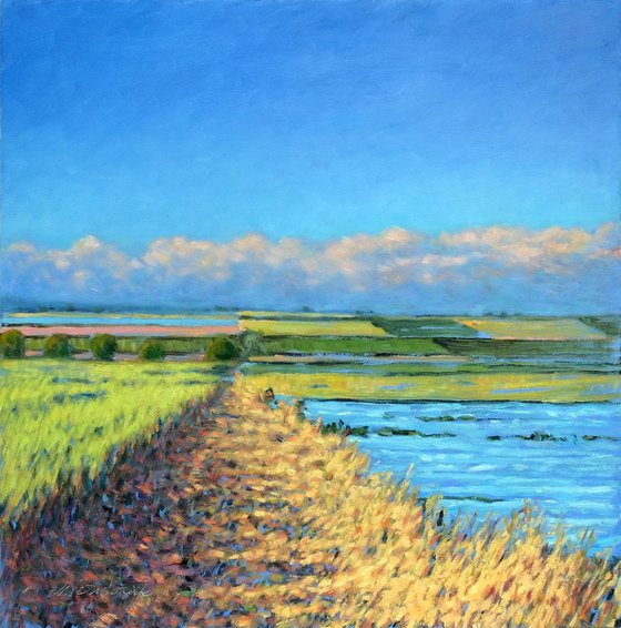 Sommer fields
