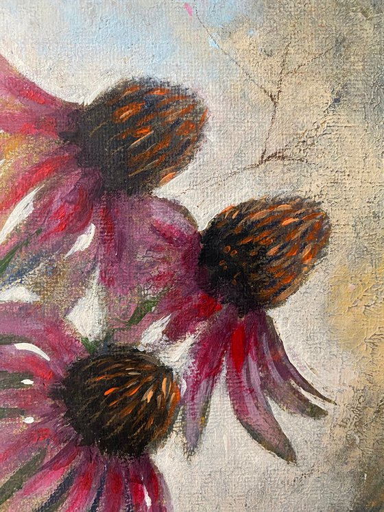 Dancing Echinacea