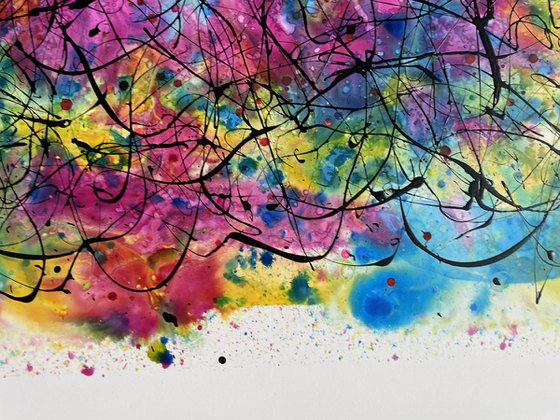 Echoes of the Rainbow