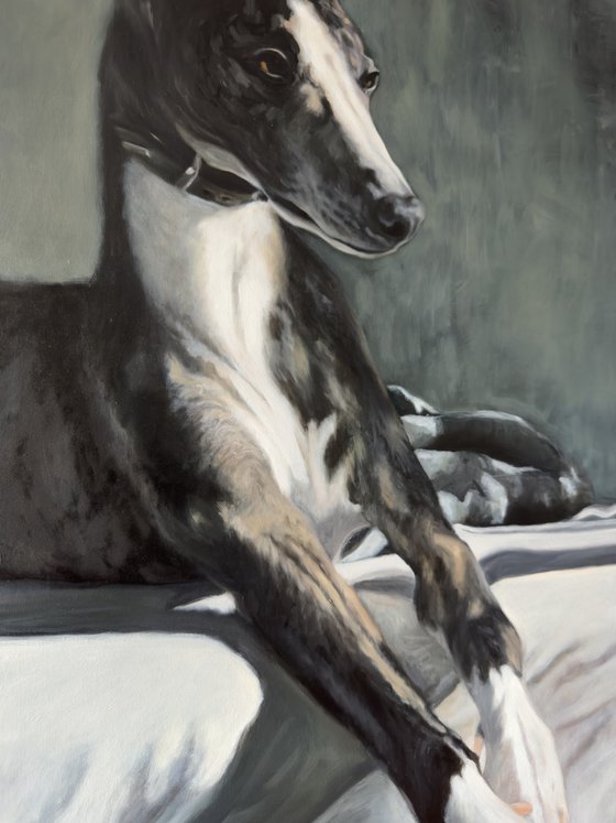 The Whippet