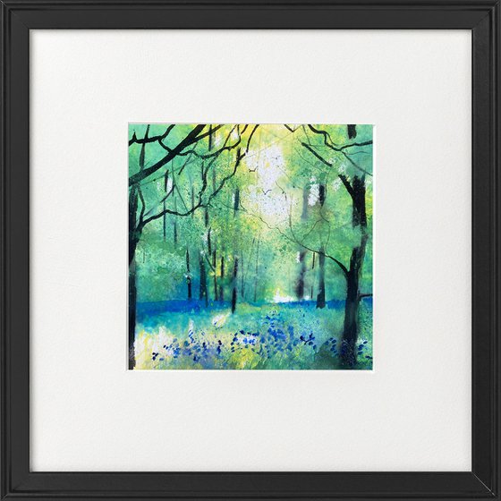 Seasons -  Spring Bluebell Woodland