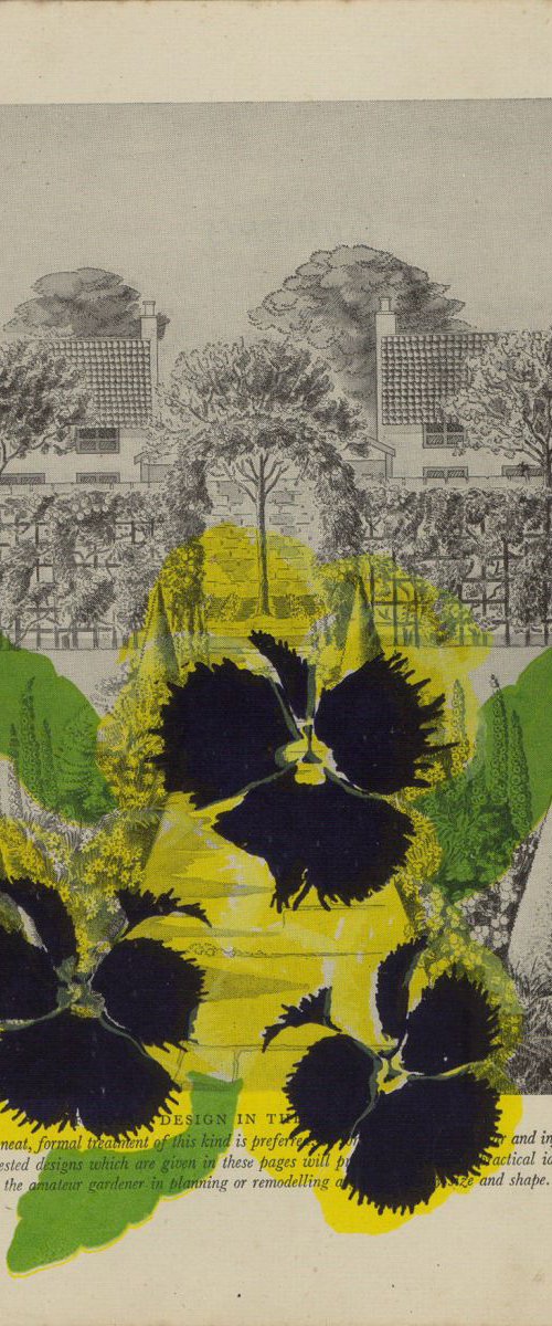 Yellow Garden Pansy by Carole King