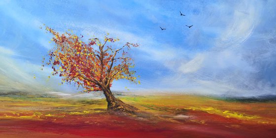 Autumnal Colours - Autumn Landscape