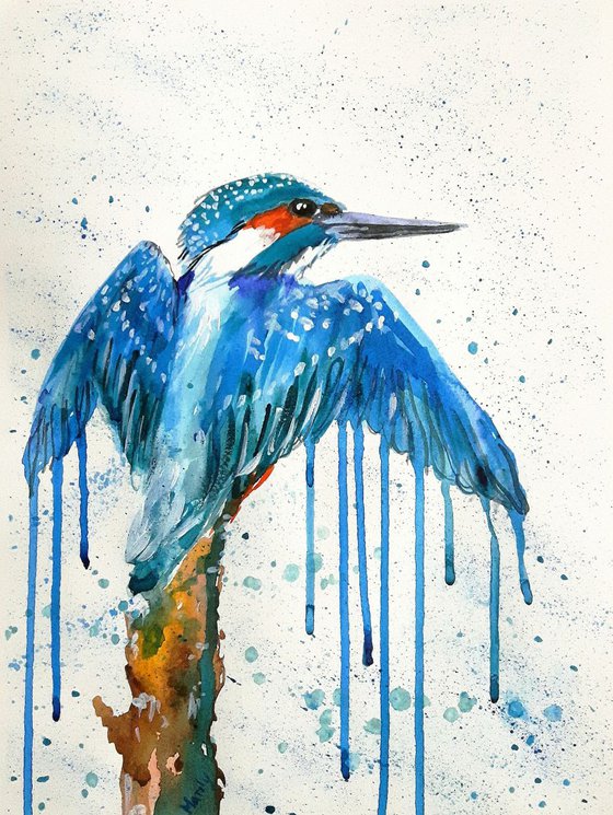 "Kingfisher"