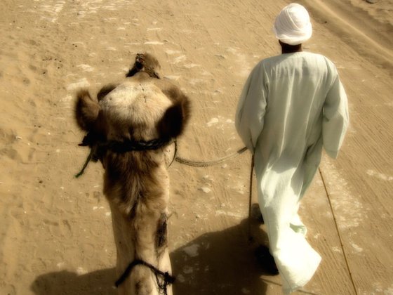 Camel Time