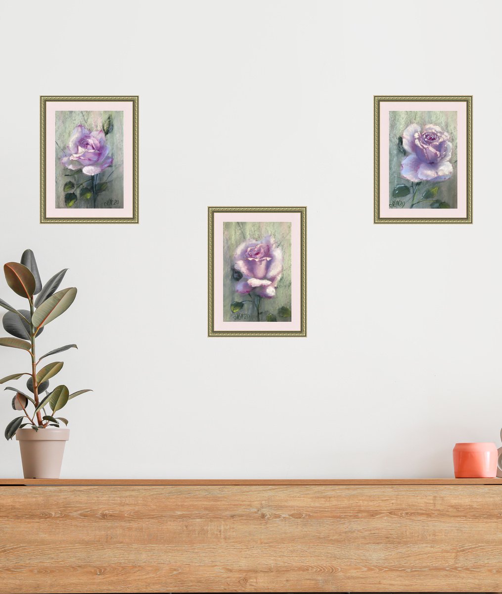 Portrait of a Rose, set of 3 by Nataly Mikhailiuk