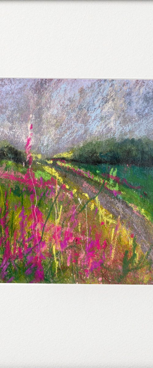 Rosebay Willowherb Impression by Teresa Tanner