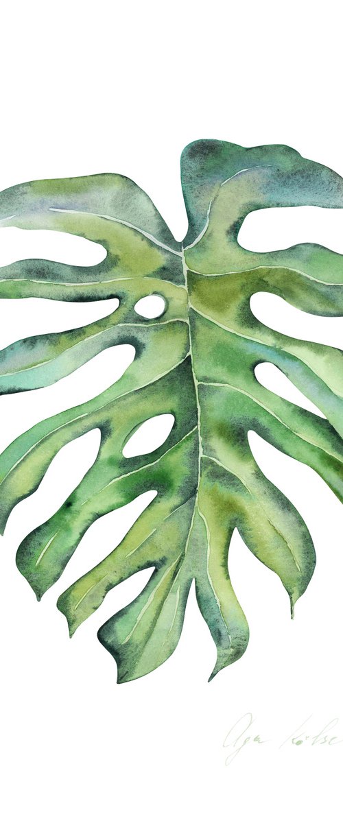 Tropical Monstera by Olga Koelsch