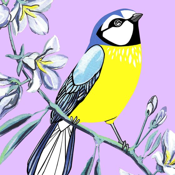 Blue Tit and Bellflower (print)