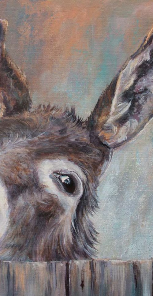 What's up Donkey by Ruth  Aslett
