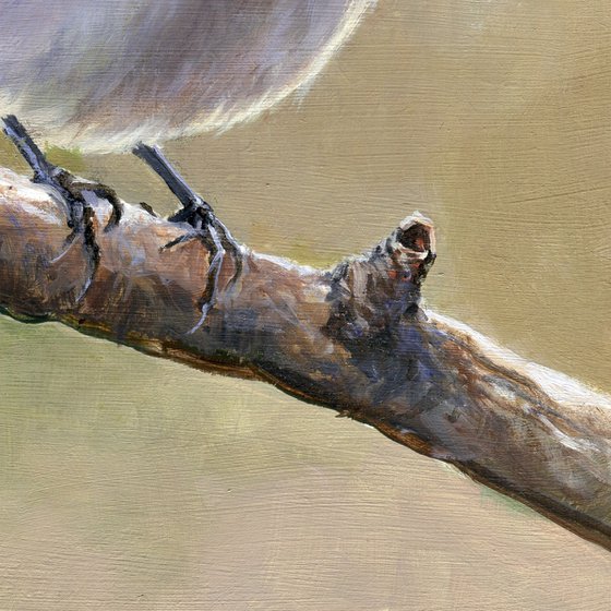 'A branch to rest'