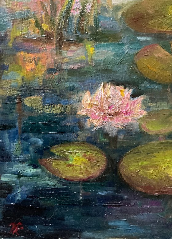 EVENING WATER LILIES