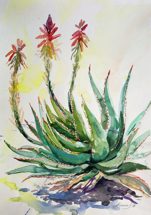Aloe Vera Cactus Painting by Anna Silabrama