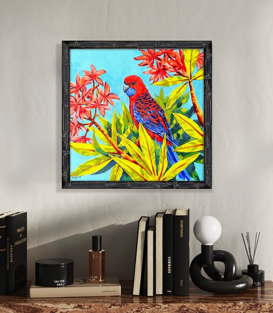 Crimson Rosella
