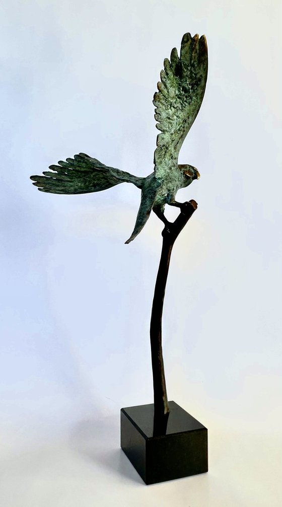 Echoes Above the Horizon, no. 3/8