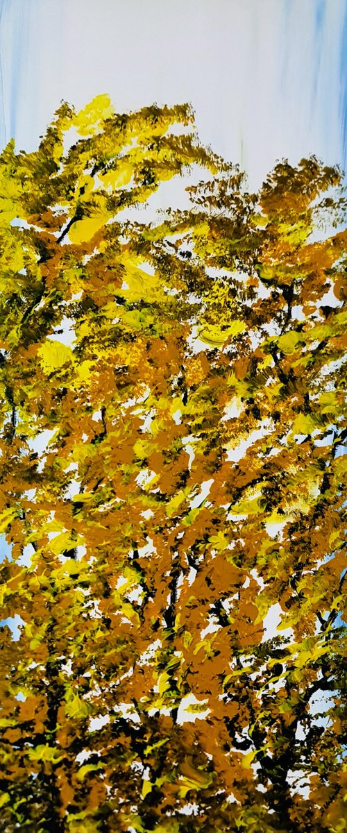 Autumn Trees by Daniel Urbaník