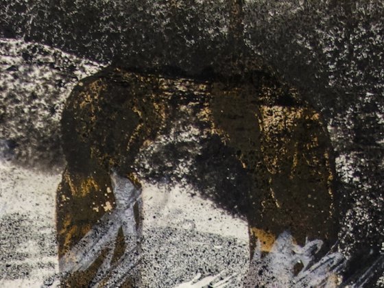 Confluence Landscape 4