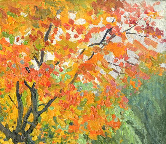 Autumn maple by the pond