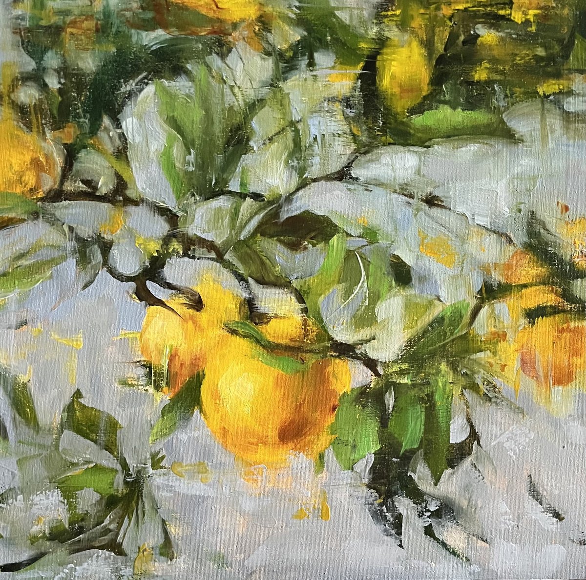 Oranges By Elena Mashajeva-Agraphiotis, 16 X 16, Artwork For Sale On Artfinder