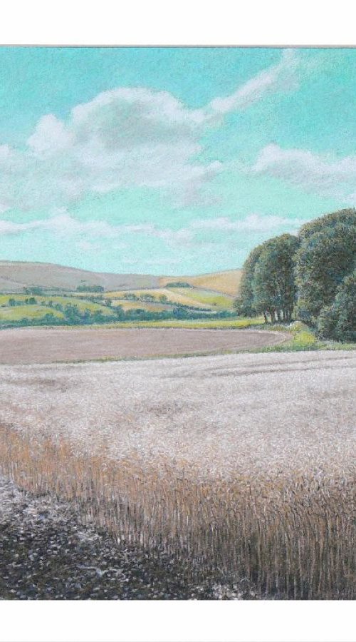 September Wheat by Paul Simpkins