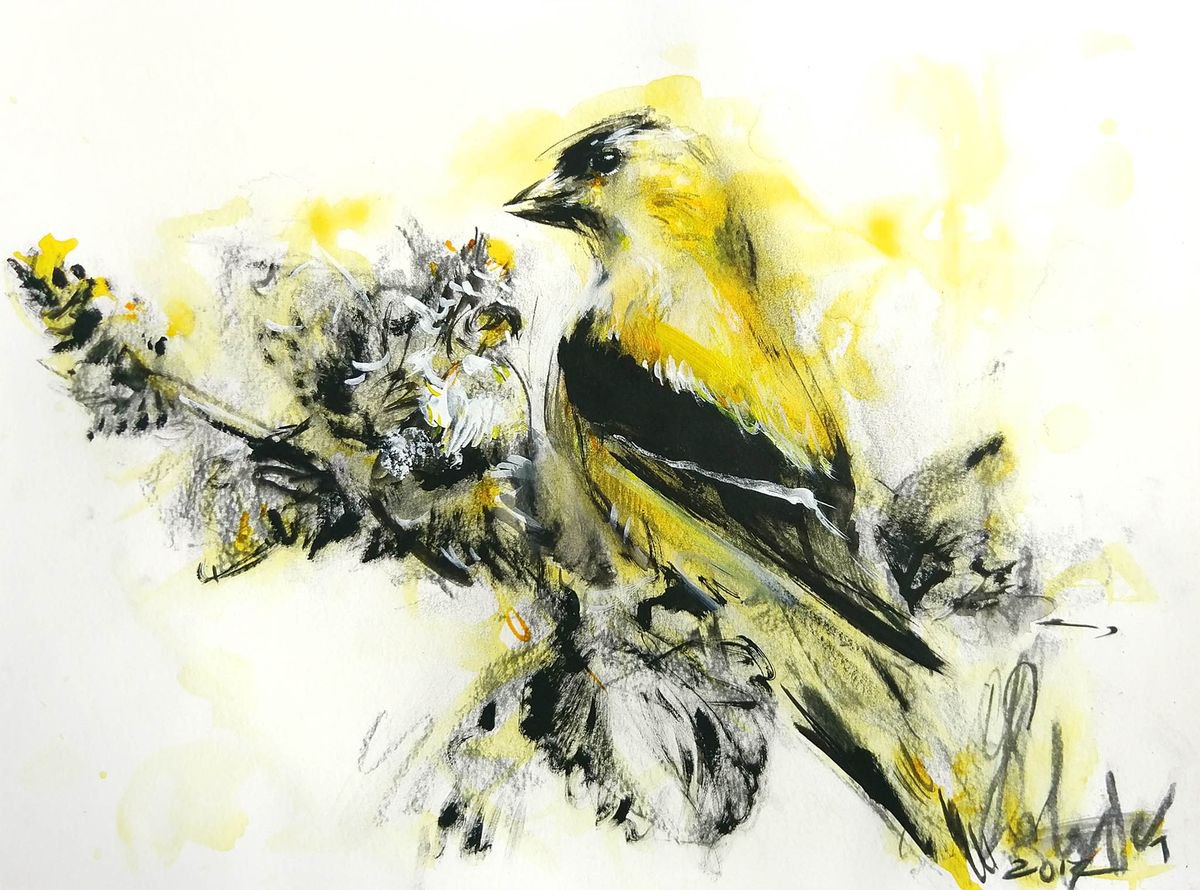 Golden finch#1 by Daria Yablon-Soloviova