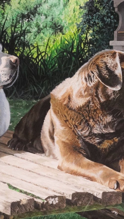 Labradors,Kenko and Tetley by Julian Wheat