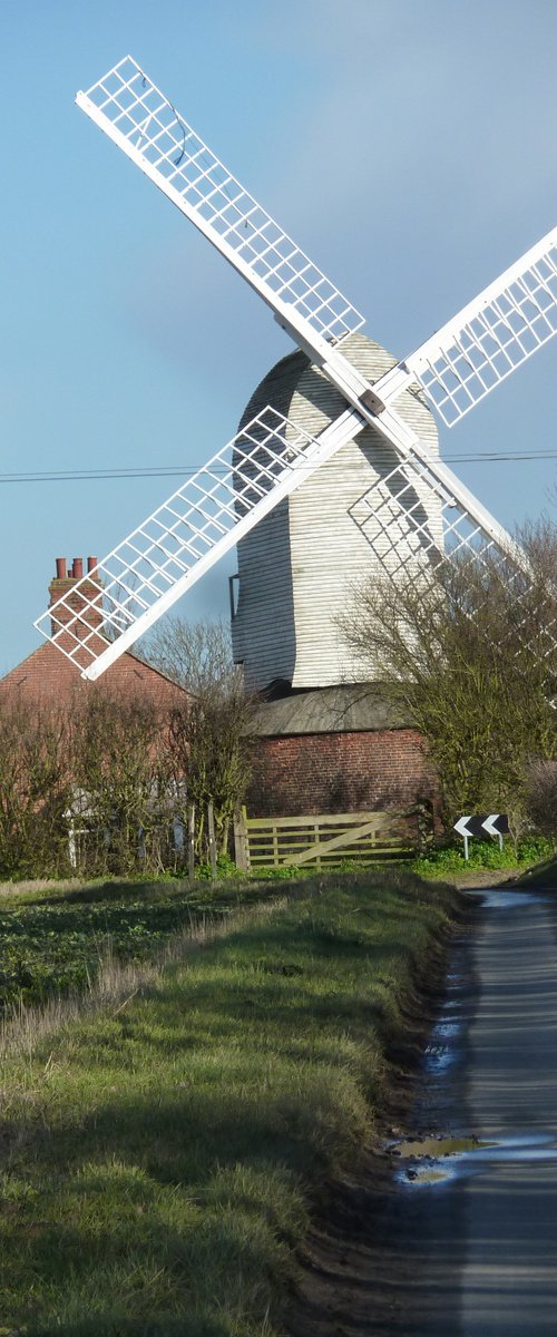 Norfolk windmill by Tim Saunders