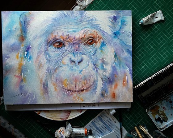 Blue Bonn_Chimpanzee