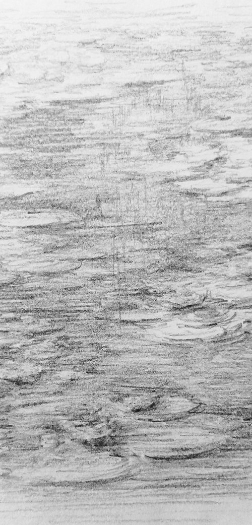 Water lilies. Sketch #1. Original pencil drawing. by Yury Klyan