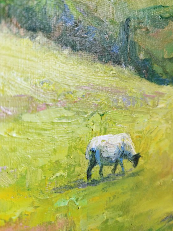 Three sheep