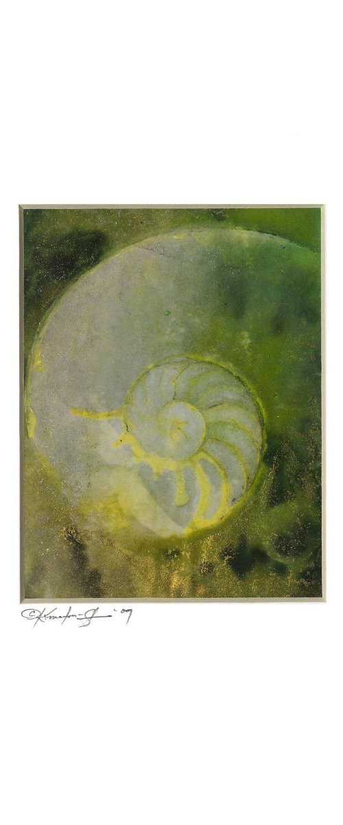 Sea Shell Watercolor Painting, Ocean - Nautilus Shell 942 by Kathy Morton Stanion