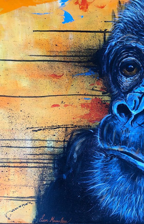 Yellow Gorilla by Ewen Macaulay