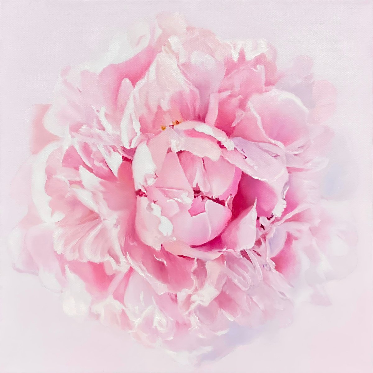 Photorealistic Oil Painting , Delicate Peony Bloom By Alla Kallas, 12 X 12, Artwork For Sale On Artfinder